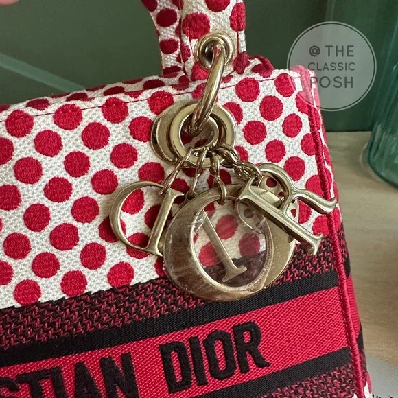 EUC  Rare Christian Dior Lady D Lite Dioramour 2020 Lady Bug Dots Satchel Bag - Picture 5 of 16